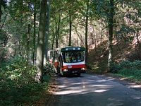 Jelcz M11 #469, MZK Gorz�w