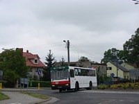 481