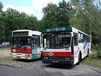 481