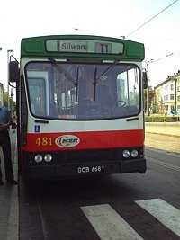 481