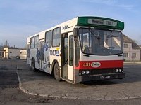 481