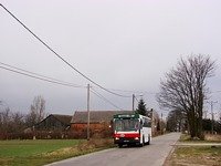 481