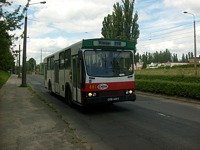 481