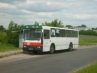481