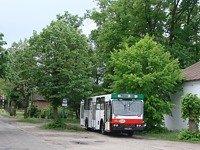481