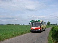 Jelcz M11 #483