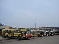 Jelcz M11 #483