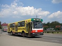 Jelcz M11 #483