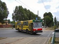 Jelcz M11 #483