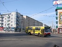 Jelcz M11 #483