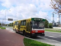 Jelcz M11 #483