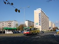 Jelcz M11 #483