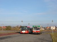 Jelcz M11 #483