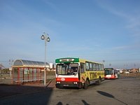 Jelcz M11 #483