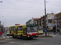 Jelcz M11 #483