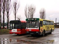 Jelcz M11 #483