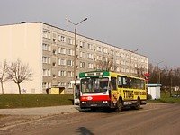 Jelcz M11 #483