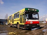 Jelcz M11 #483