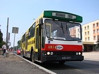 Jelcz M11 #483