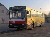 Jelcz M11 #483