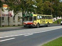 Jelcz M11 #483
