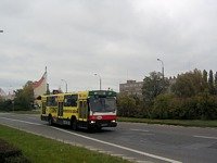 Jelcz M11 #483