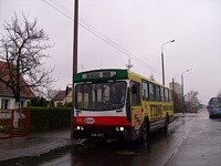 Jelcz M11 #483
