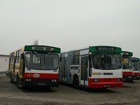 Jelcz M11 #483