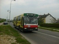 Jelcz M11 #483