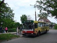 Jelcz M11 #483