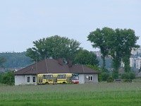 Jelcz M11 #483