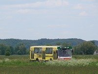 Jelcz M11 #483