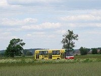 Jelcz M11 #483