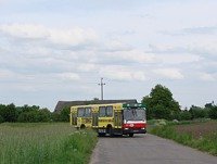 Jelcz M11 #483