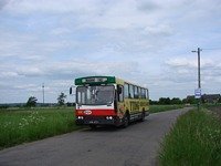 Jelcz M11 #483