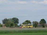 Jelcz M11 #483