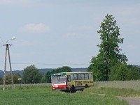 Jelcz M11 #483