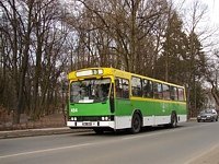 494