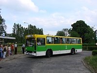 494