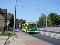 494