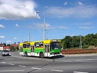 494