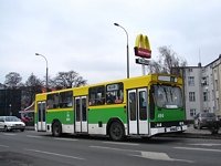 494