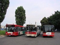 515