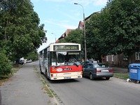 515