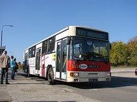 515