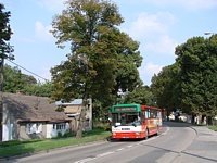 Jelcz 120MM2 #516