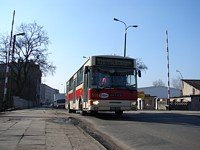 #518