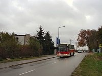 #518