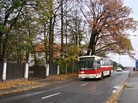 #518