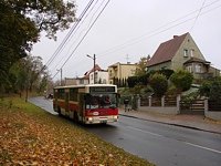 #518